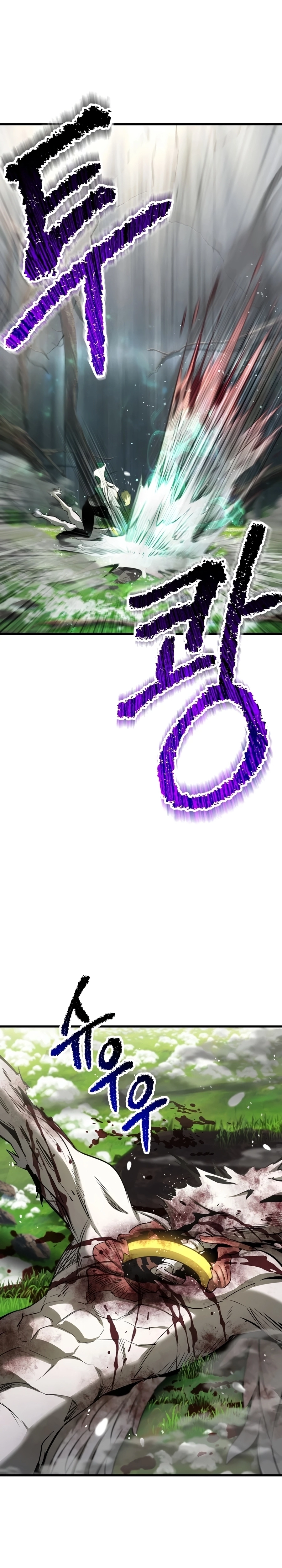 Survival Story of a Sword King in a Fantasy World Chapter 253 Page 17