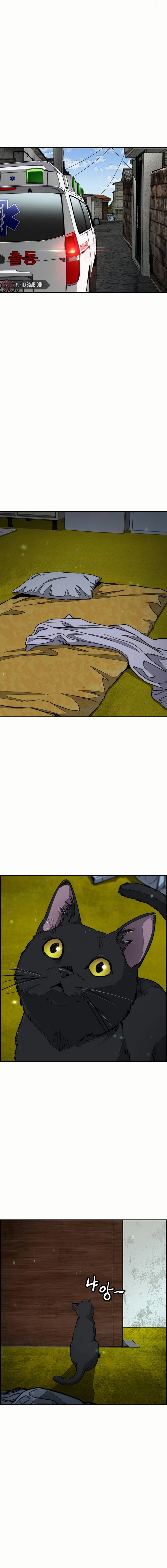 Wind Breaker Chapter 547 Page 22