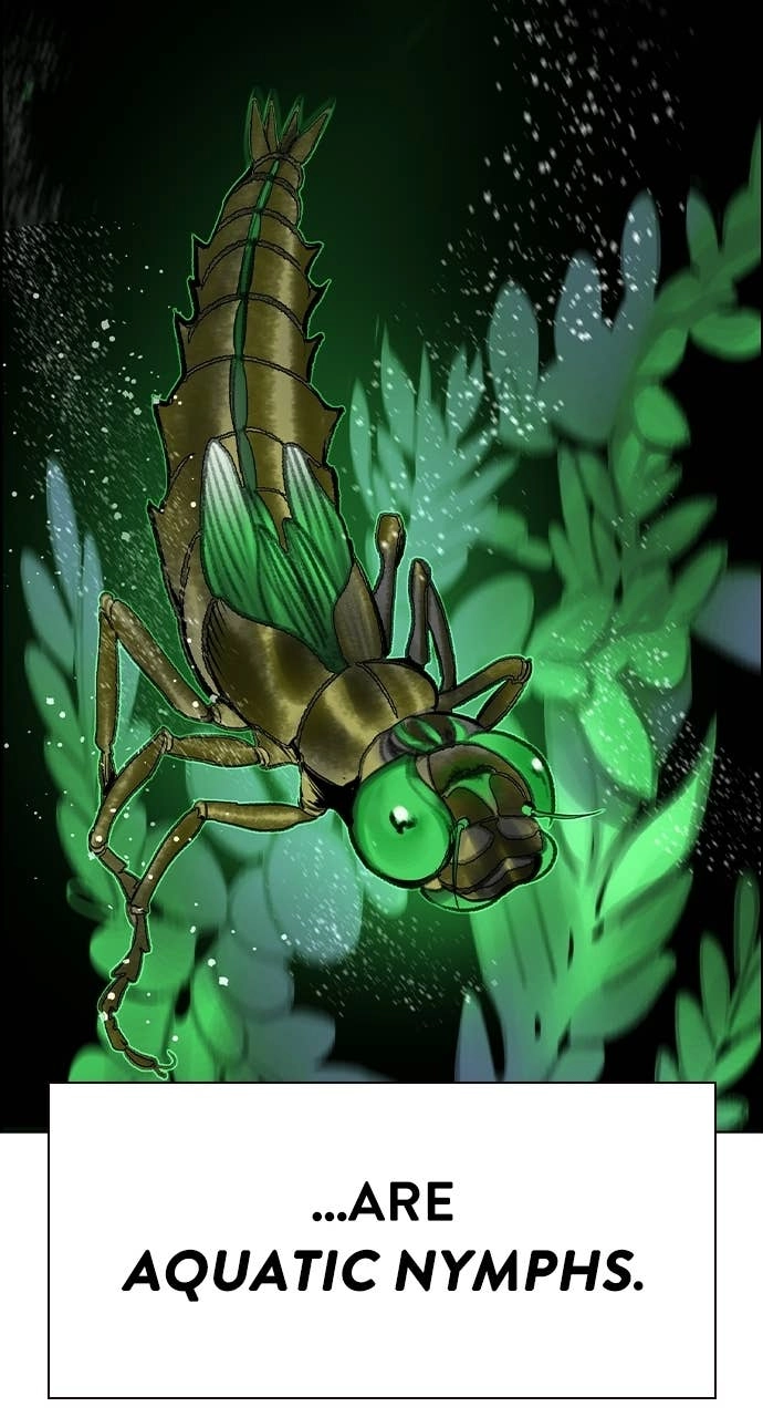 Jungle Juice Chapter 184 Page 79